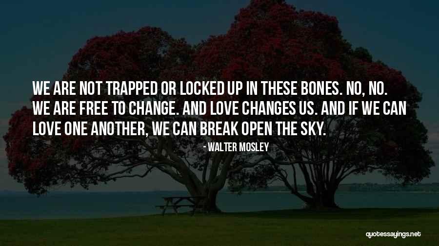 Walter Mosley Quotes 2036739