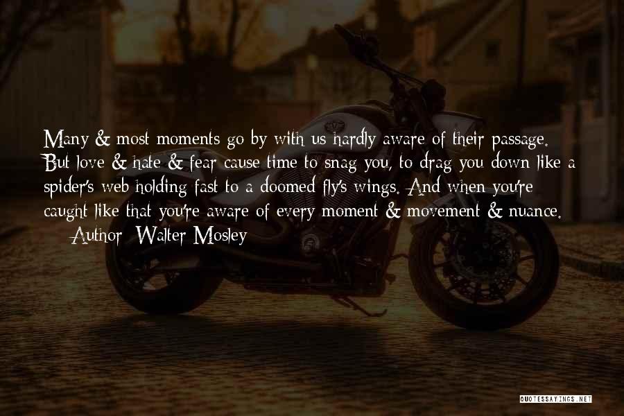 Walter Mosley Quotes 2093283