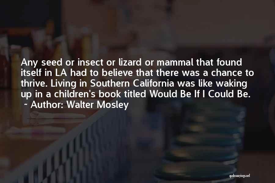 Walter Mosley Quotes 251343