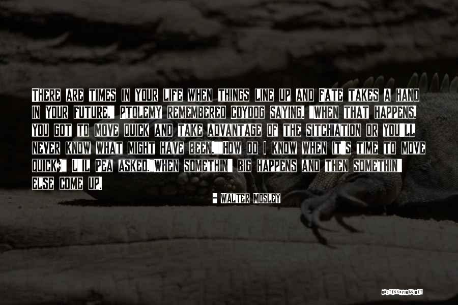Walter Mosley Quotes 365251 Walter Mosley Quotes 365251