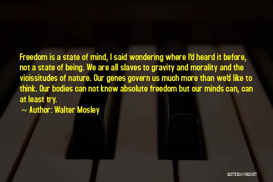 Walter Mosley Quotes 370584