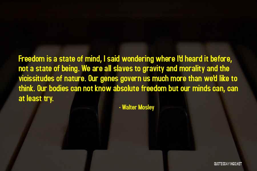 Walter Mosley Quotes 370584