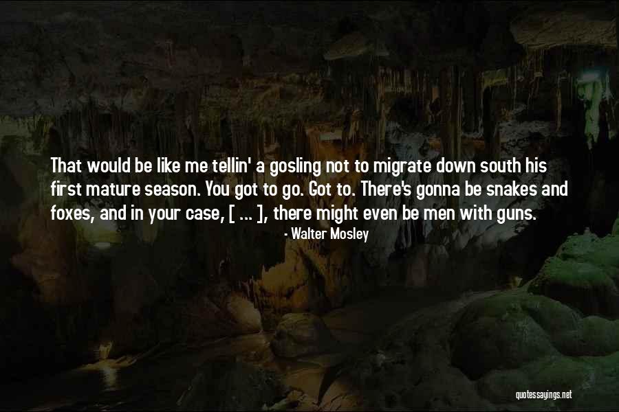 Walter Mosley Quotes 769761 Walter Mosley Quotes 769761