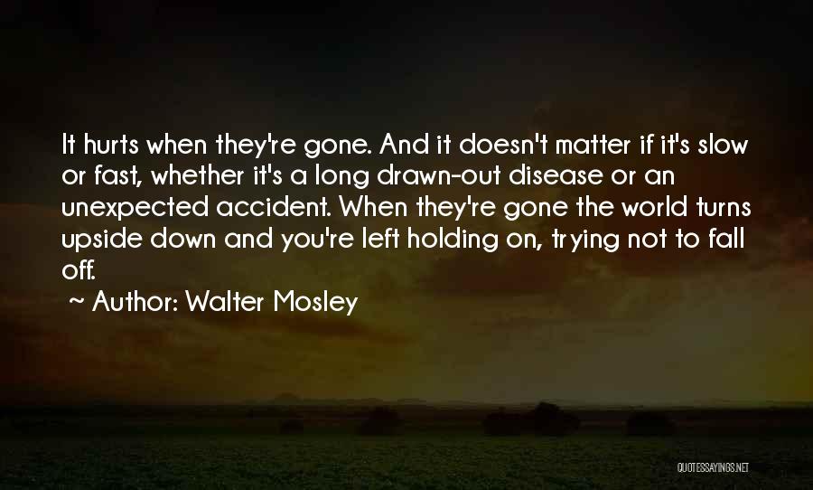 Walter Mosley Quotes 884843