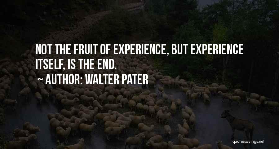 Walter Pater Quotes 569984