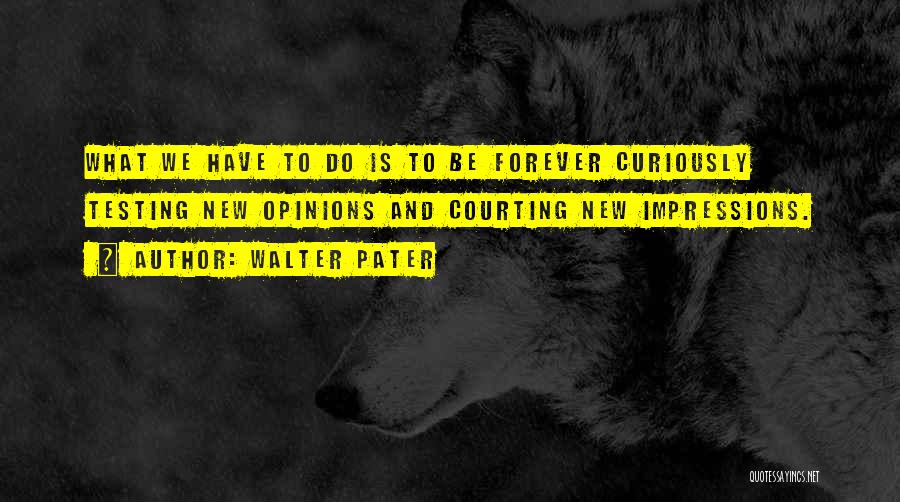 Walter Pater Quotes 778981