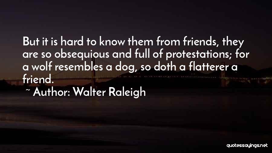 Walter Raleigh Quotes 1254386