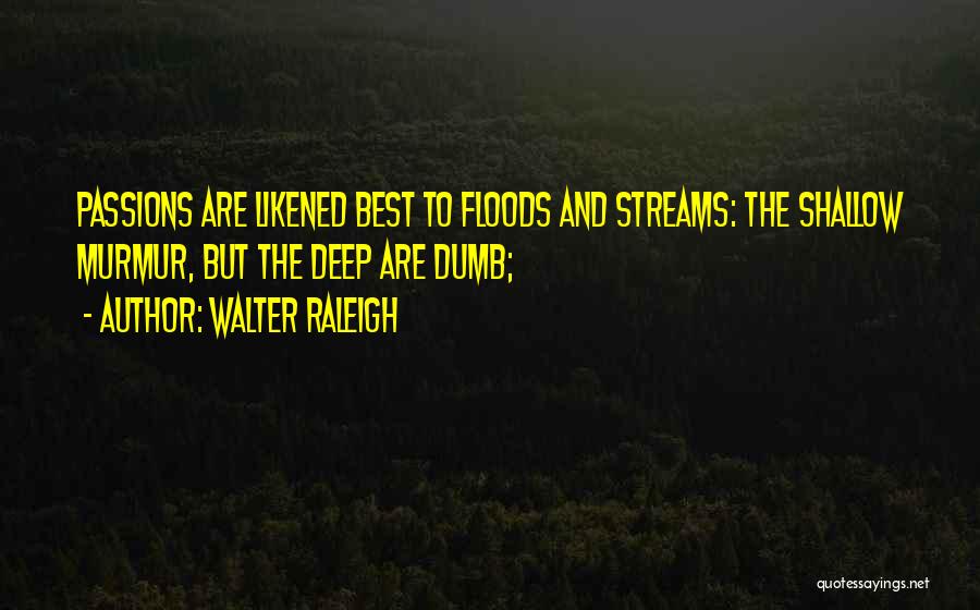 Walter Raleigh Quotes 1294435