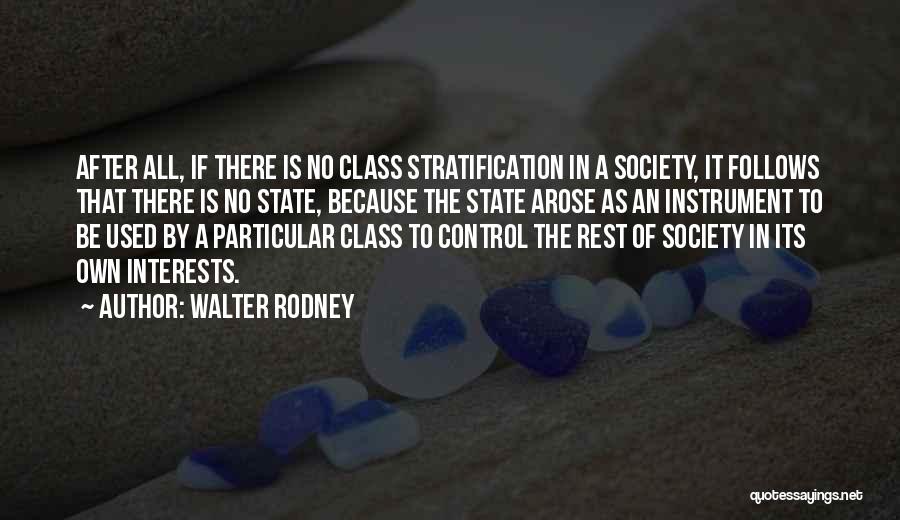 Walter Rodney Quotes 1763293