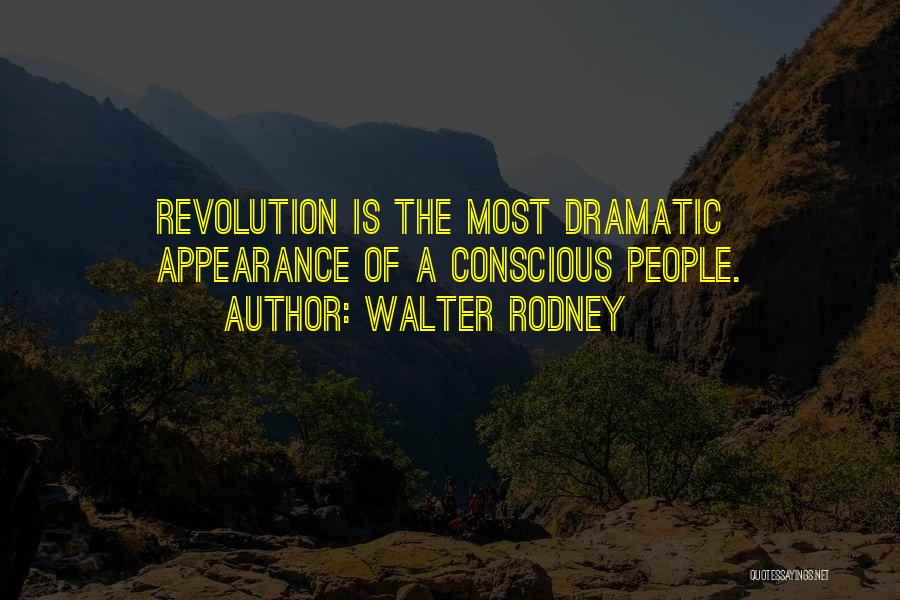 Walter Rodney Quotes 959598