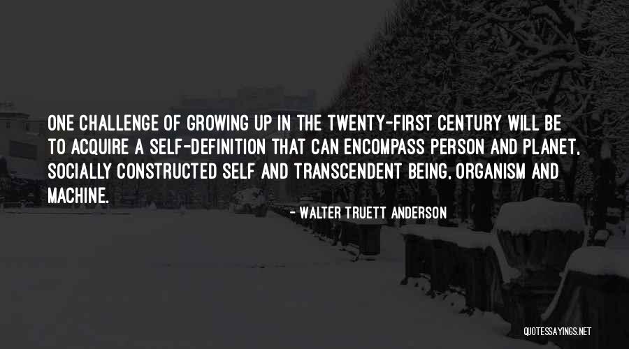 Walter Truett Anderson Quotes 316727