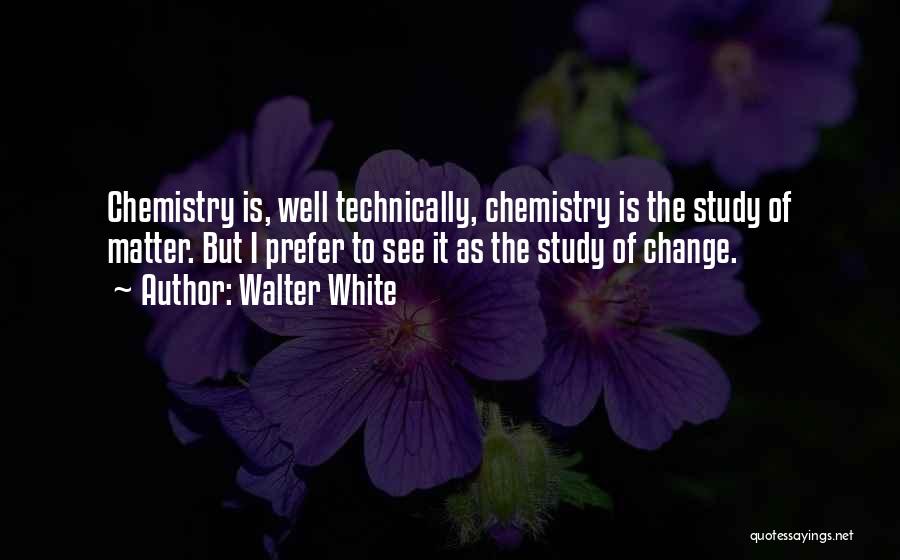 Walter White Quotes 736411