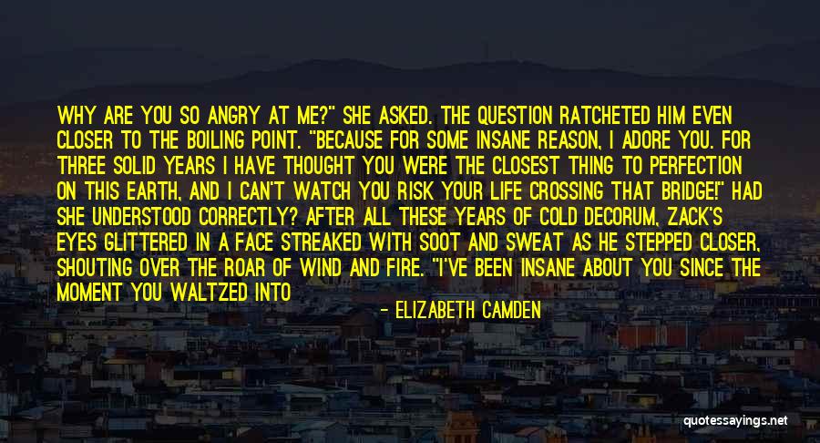 Waltzed On In And Waltzed Quotes By Elizabeth Camden Waltzed On In And Waltzed Quotes By Elizabeth Camden