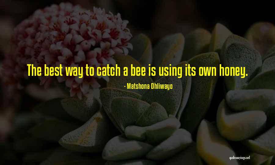 Waltzers Catalog Quotes By Matshona Dhliwayo Waltzers Catalog Quotes By Matshona Dhliwayo