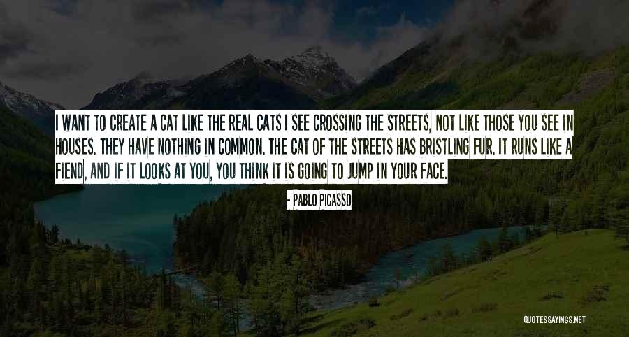 Wamo Stock Quotes By Pablo Picasso Wamo Stock Quotes By Pablo Picasso