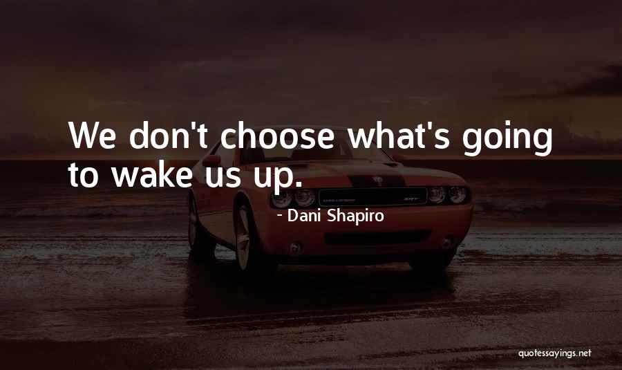Wananchi Credit Quotes By Dani Shapiro Wananchi Credit Quotes By Dani Shapiro
