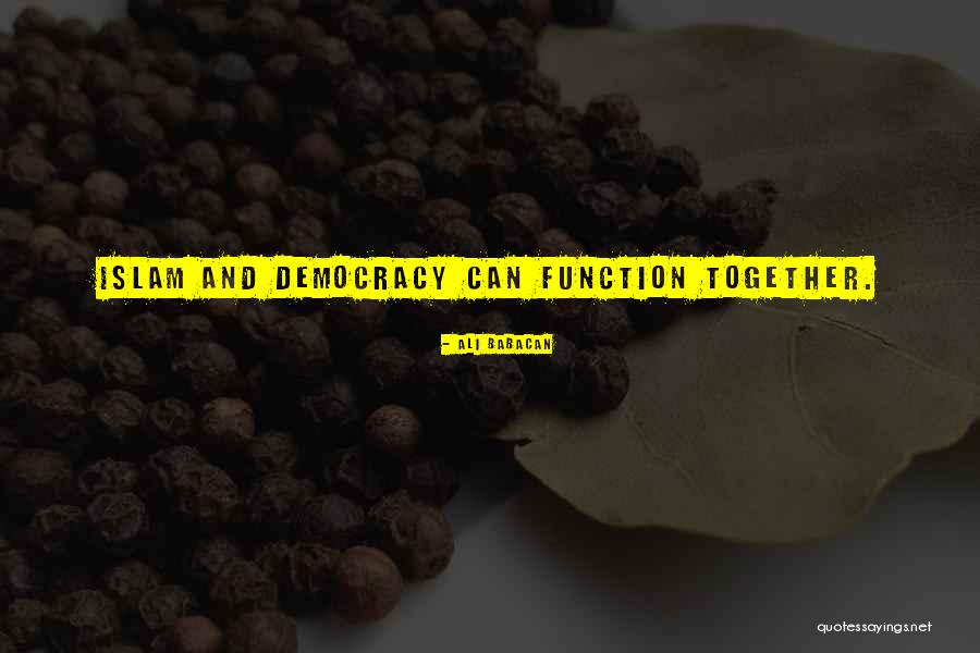 Wandana Liyanarachchi Quotes By Ali Babacan Wandana Liyanarachchi Quotes By Ali Babacan