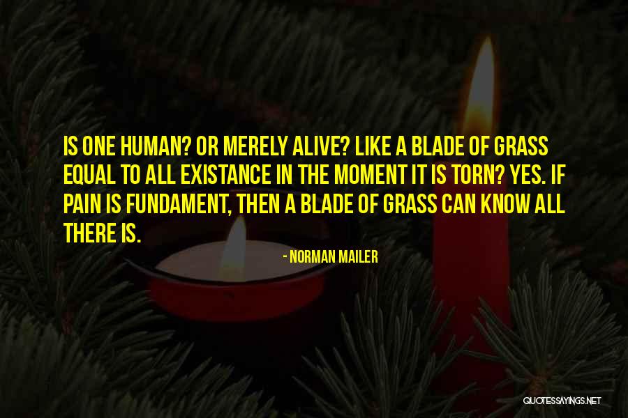Wanded Quotes By Norman Mailer Wanded Quotes By Norman Mailer