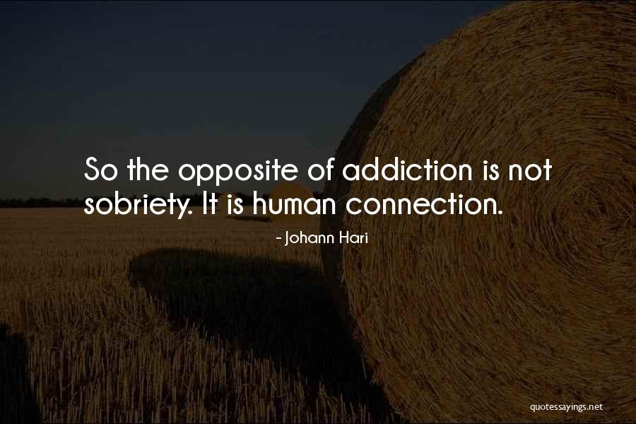 Wanden Bekleden Quotes By Johann Hari Wanden Bekleden Quotes By Johann Hari