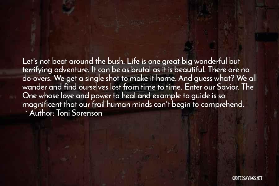 Wander Around Quotes By Toni Sorenson