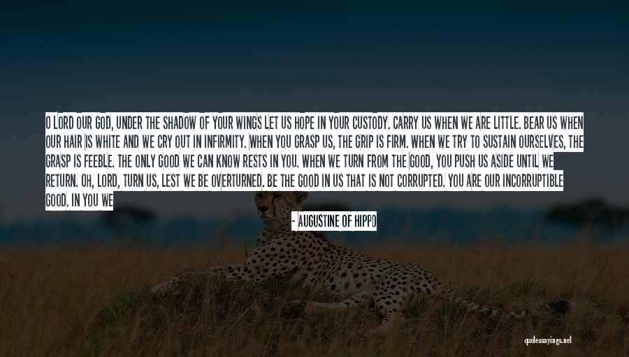 Wander Off Quotes By Augustine Of Hippo Wander Off Quotes By Augustine Of Hippo