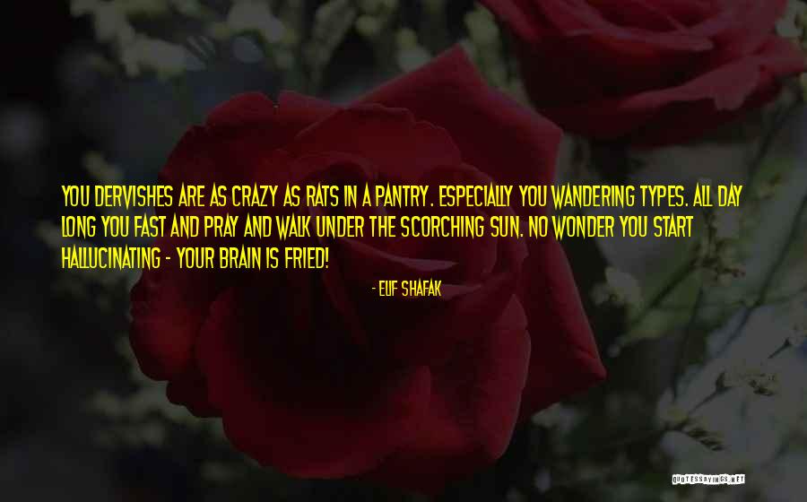 Wanderer Quotes By Elif Shafak Wanderer Quotes By Elif Shafak