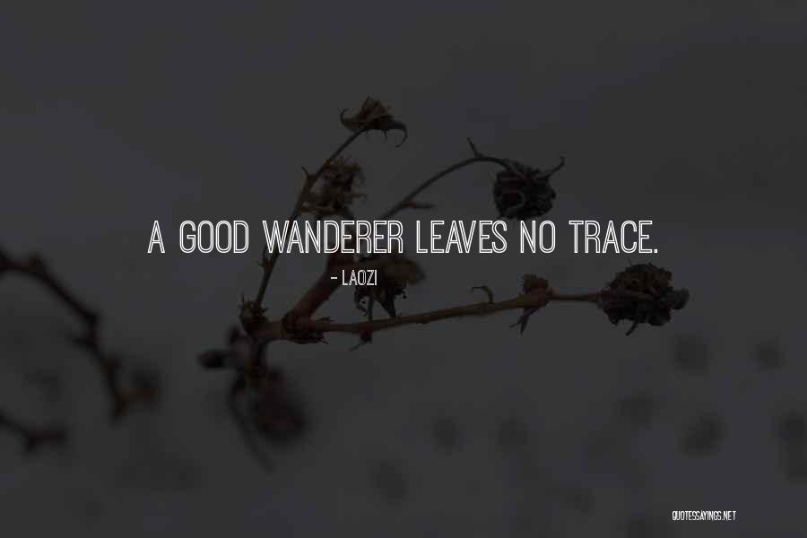 Wanderer Quotes By Laozi Wanderer Quotes By Laozi