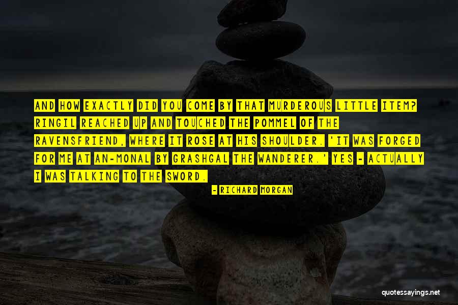 Wanderer Quotes By Richard Morgan Wanderer Quotes By Richard Morgan