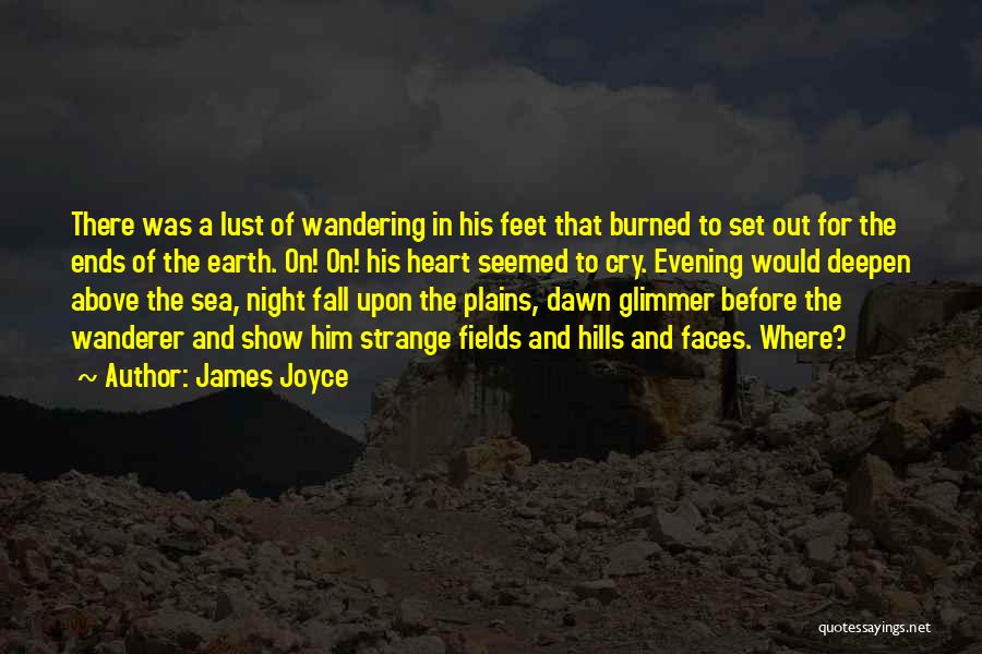 Wanderer Travel Quotes By James Joyce