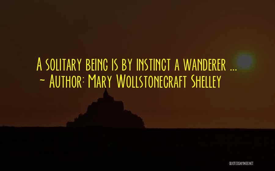 Wanderer Travel Quotes By Mary Wollstonecraft Shelley