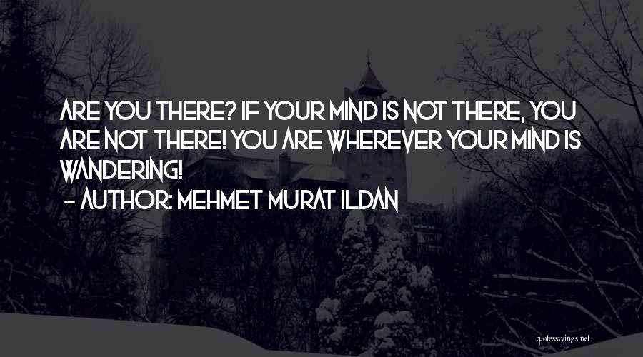 Wandering Mind Quotes By Mehmet Murat Ildan