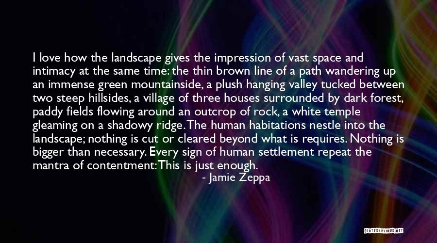 Wandering Travel Quotes By Jamie Zeppa