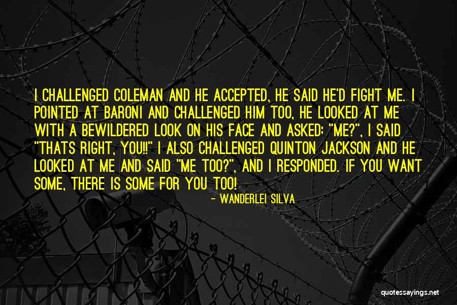 Wanderlei Silva Quotes 1824401 Wanderlei Silva Quotes 1824401