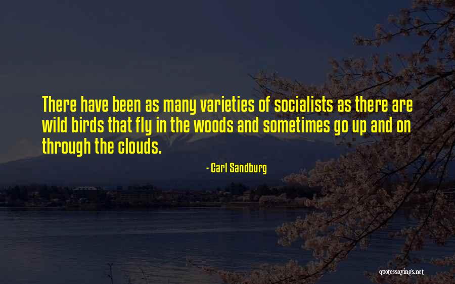Wanderlust Person Quotes By Carl Sandburg Wanderlust Person Quotes By Carl Sandburg
