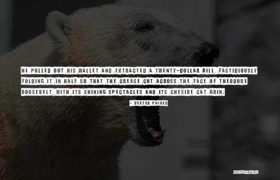 Wandile Quotes By Dexter Palmer Wandile Quotes By Dexter Palmer