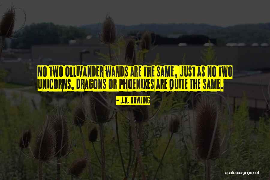 Wands Quotes By J.K. Rowling Wands Quotes By J.K. Rowling