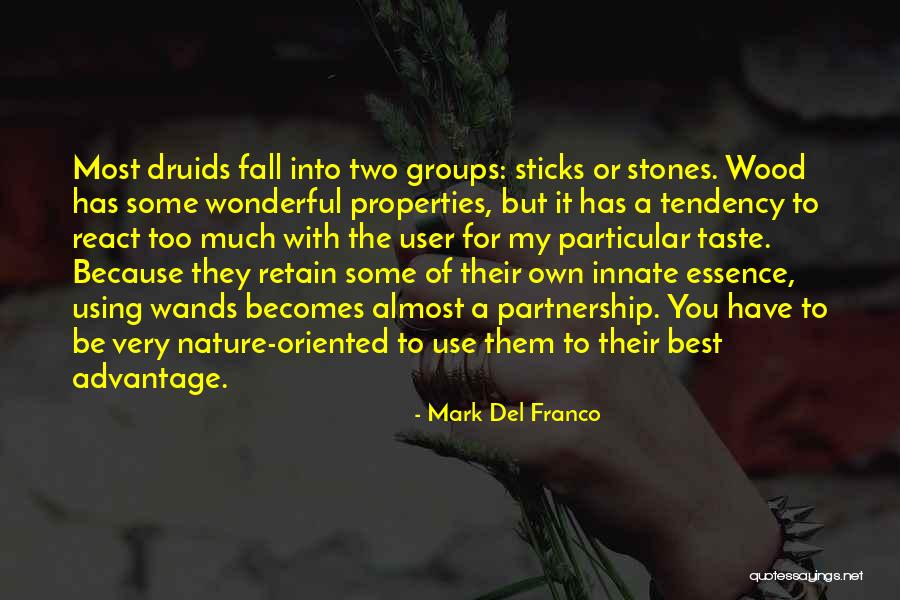 Wands Quotes By Mark Del Franco