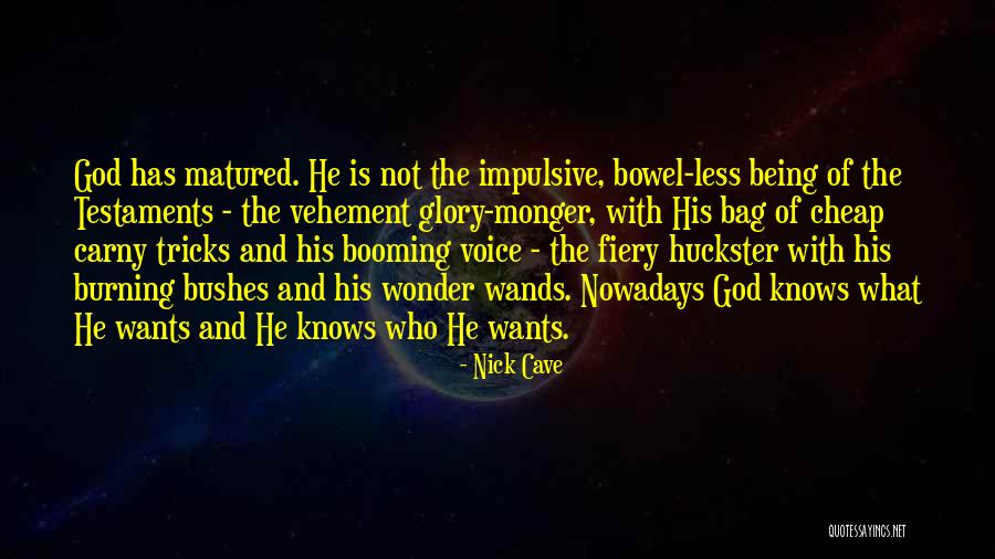 Wands Quotes By Nick Cave Wands Quotes By Nick Cave