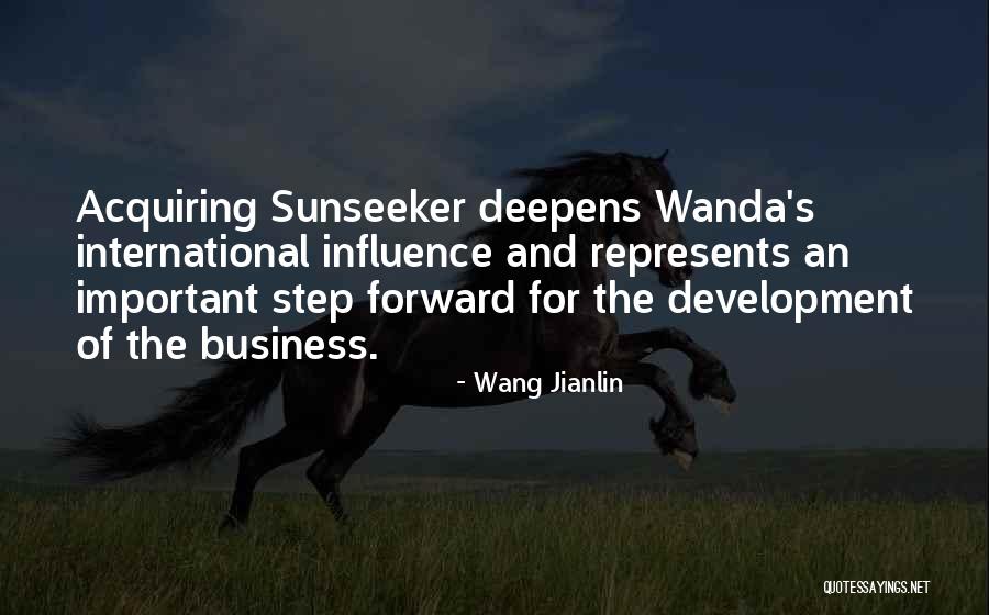 Wang Jianlin Quotes 388834