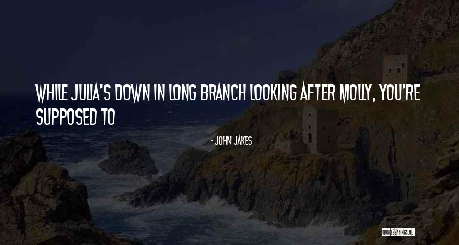 Wang Ming Dao Quotes By John Jakes Wang Ming Dao Quotes By John Jakes