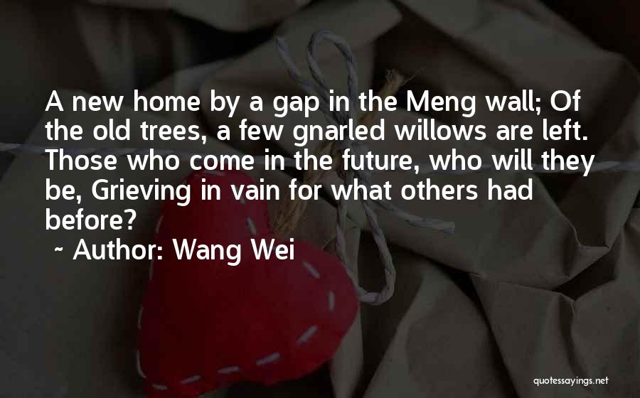 Wang Wei Quotes 1595085