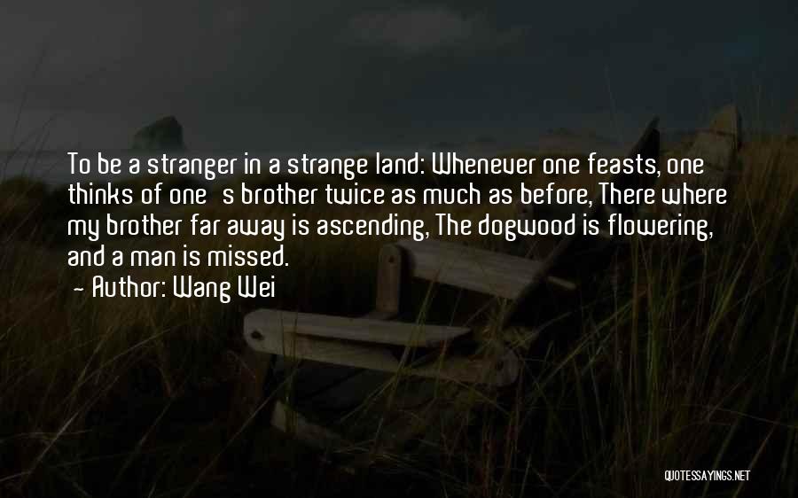 Wang Wei Quotes 1931293