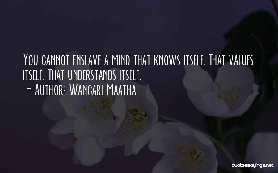 Wangari Maathai Quotes 1669119