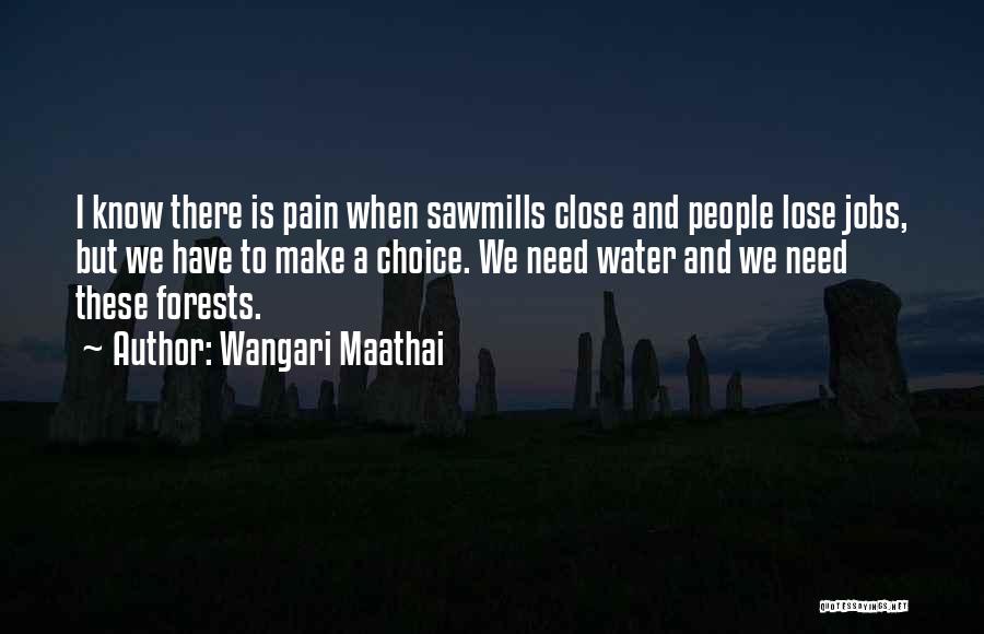 Wangari Maathai Quotes 963559