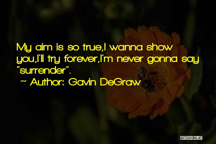 Wanna Be With U Forever Quotes By Gavin DeGraw