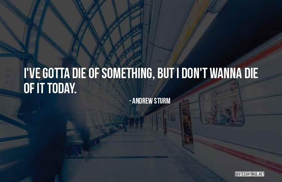 Wanna Die Soon Quotes By Andrew Sturm