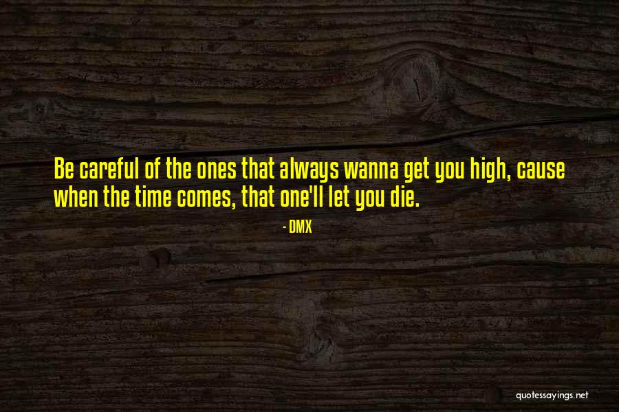 Wanna Die Soon Quotes By DMX