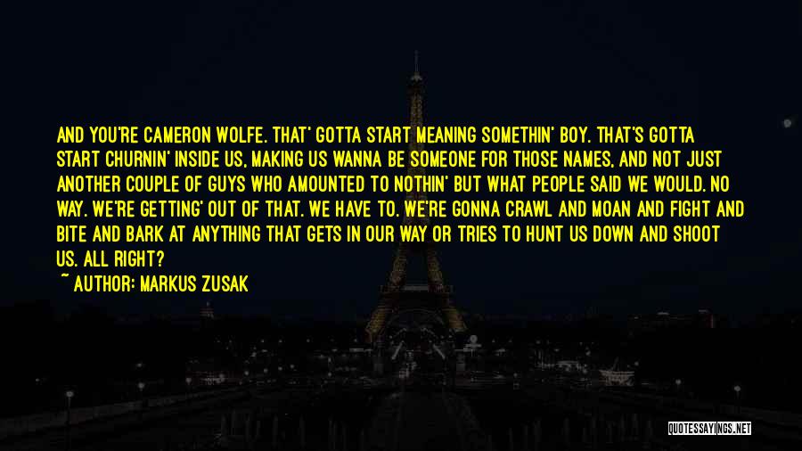 Wanna Fight Me Quotes By Markus Zusak