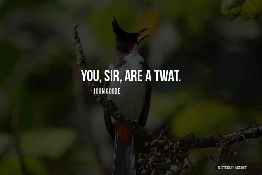 Wanna Fly Like A Bird Quotes By John Goode Wanna Fly Like A Bird Quotes By John Goode