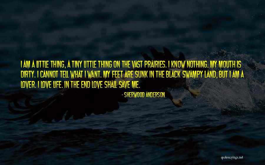 Want A Lover Quotes By Sherwood Anderson Want A Lover Quotes By Sherwood Anderson
